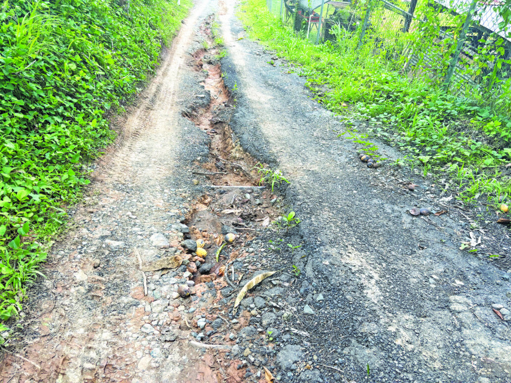 La carretera presenta grietas y falta de asfalto.