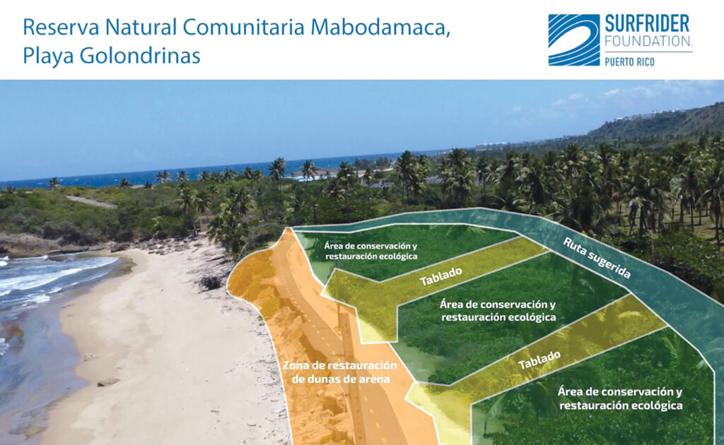 Propuesta de Fundación de Surfrider