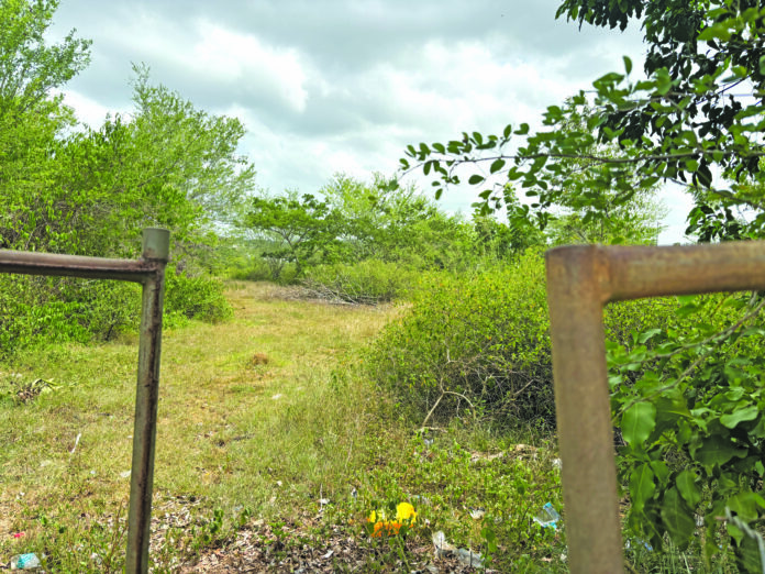 Terreno de Boquerona