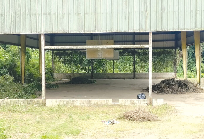 Realizan trabajos para acondicionar el espacio recreativo.