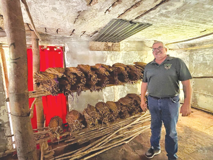 Juan irizarry junto a las hojas de tabaco con las que elabora sus cigarros