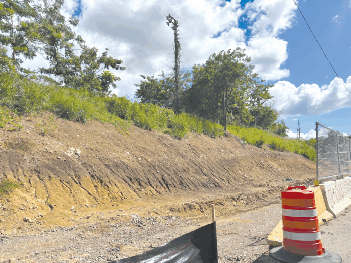 La demandante destacó que uno de los impactos más visibles es la deforestación