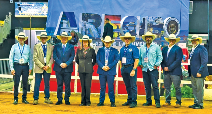 ejemplares de paso fino