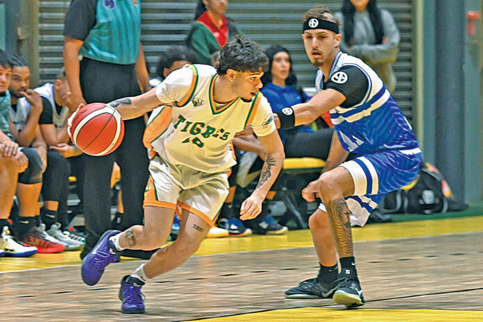 Foto: Luis F. Minguela LAI