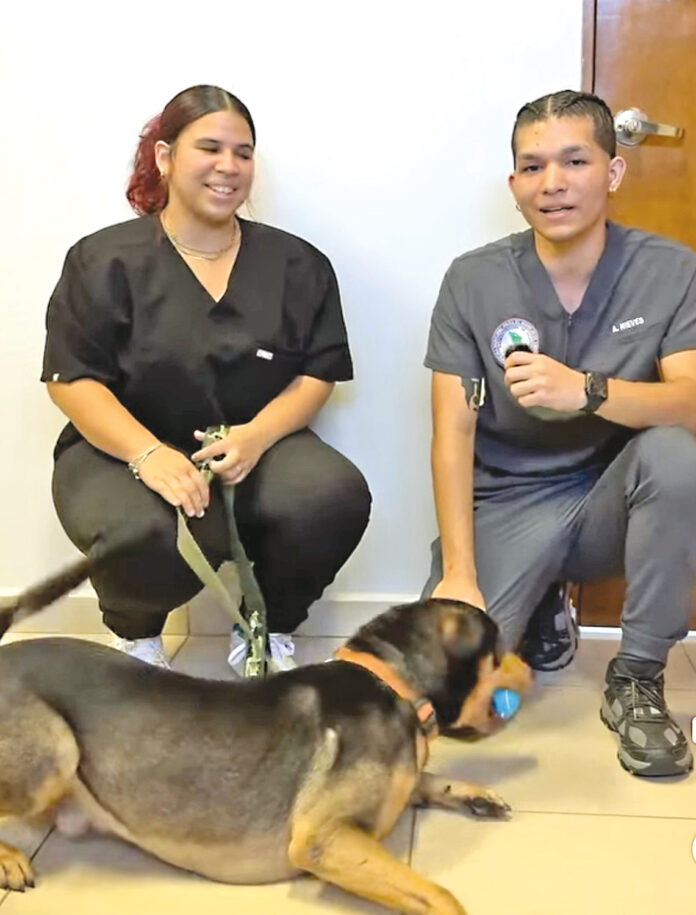 Foto de Max en las facilidades de OMME Isabela