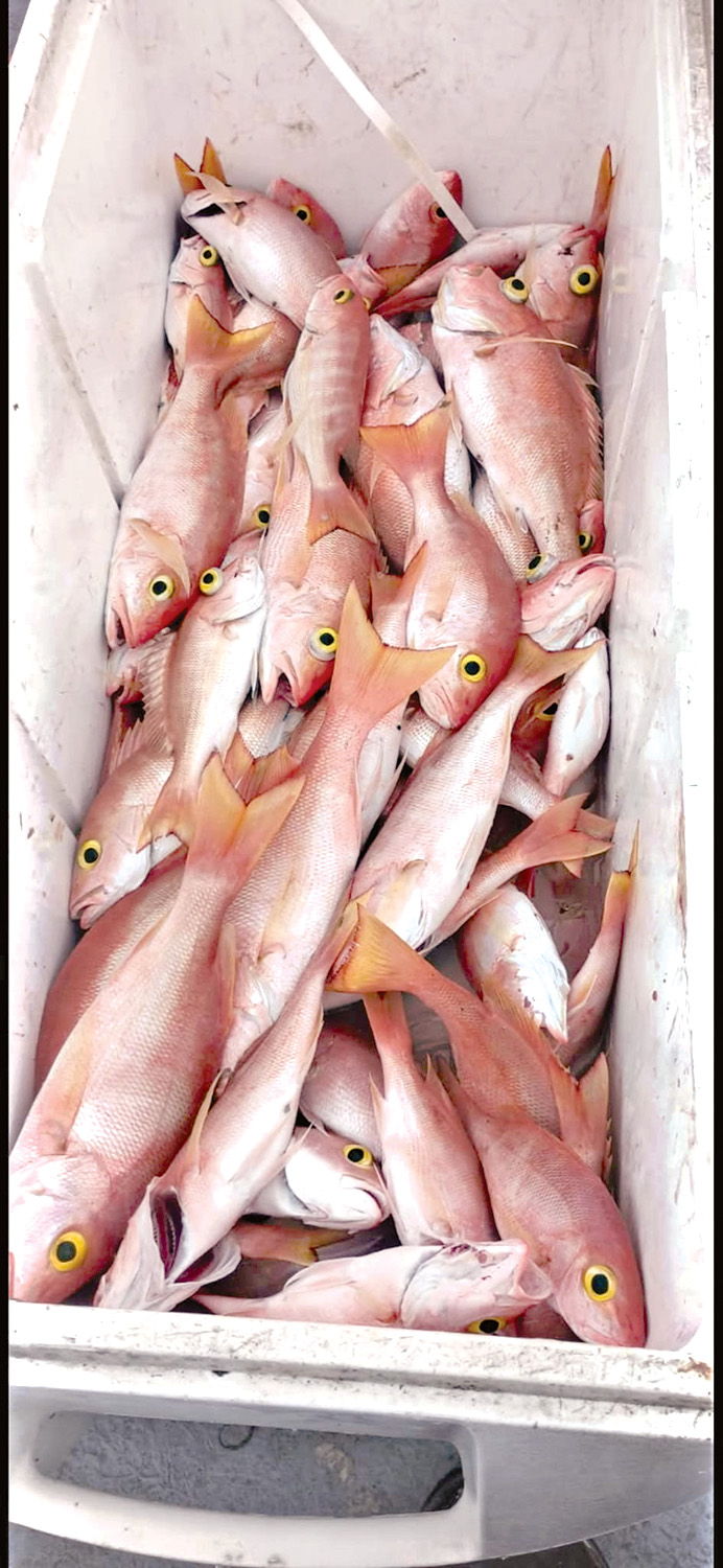 Imagen suministrada.