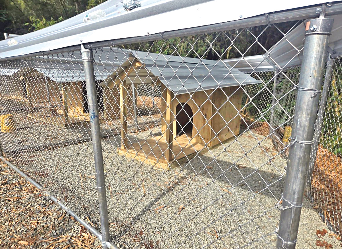 Los perros ya cuentan con áreas y casitas. 
Imagen suministrada