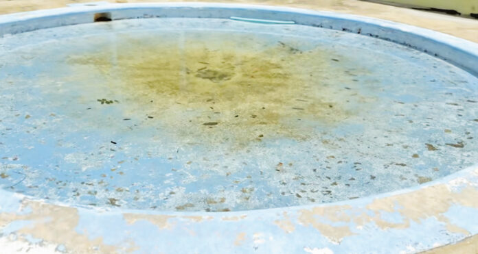 Toma de un video publicado en la red social de Facebook de Efraín 