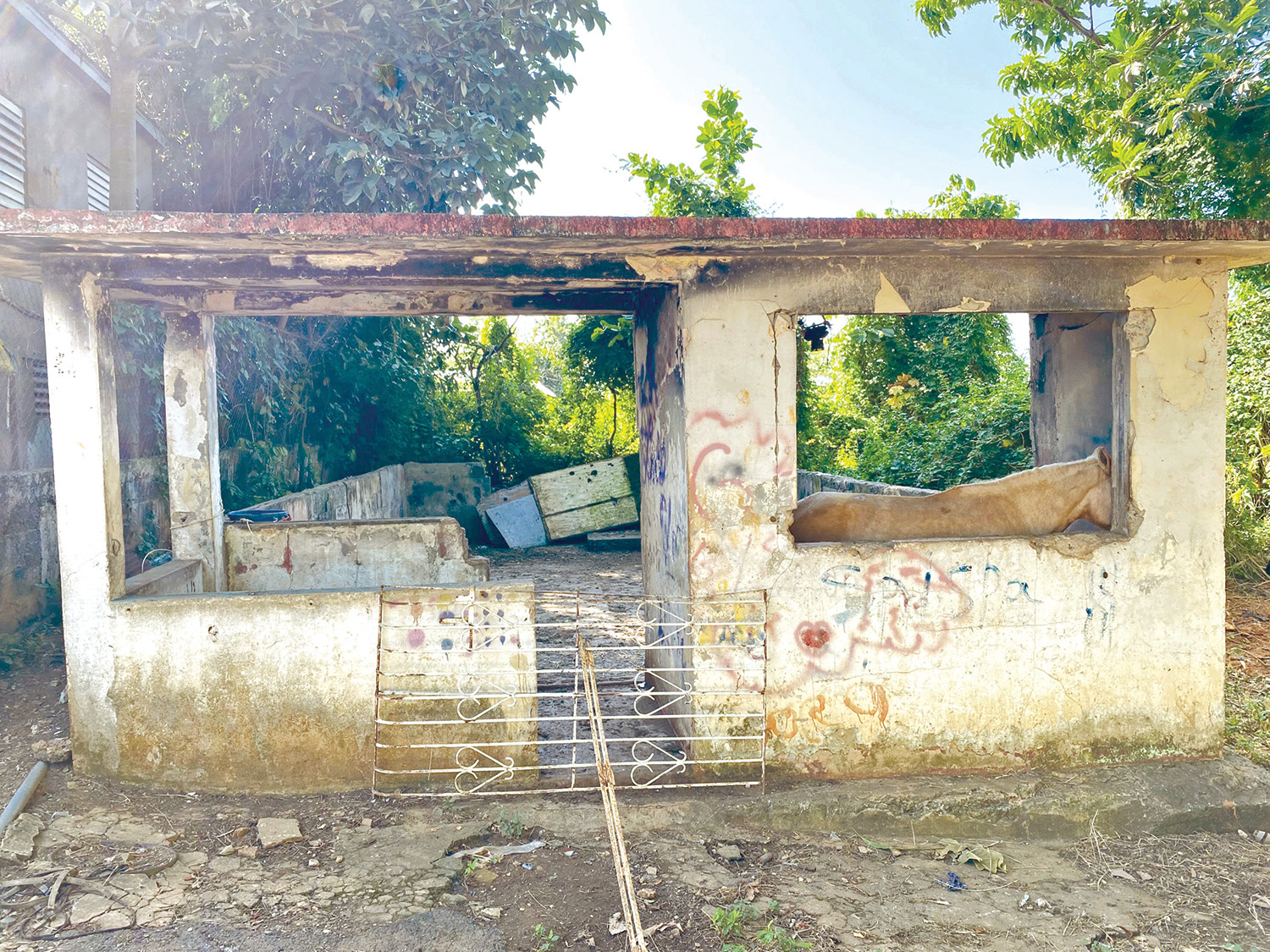 casa abandonada