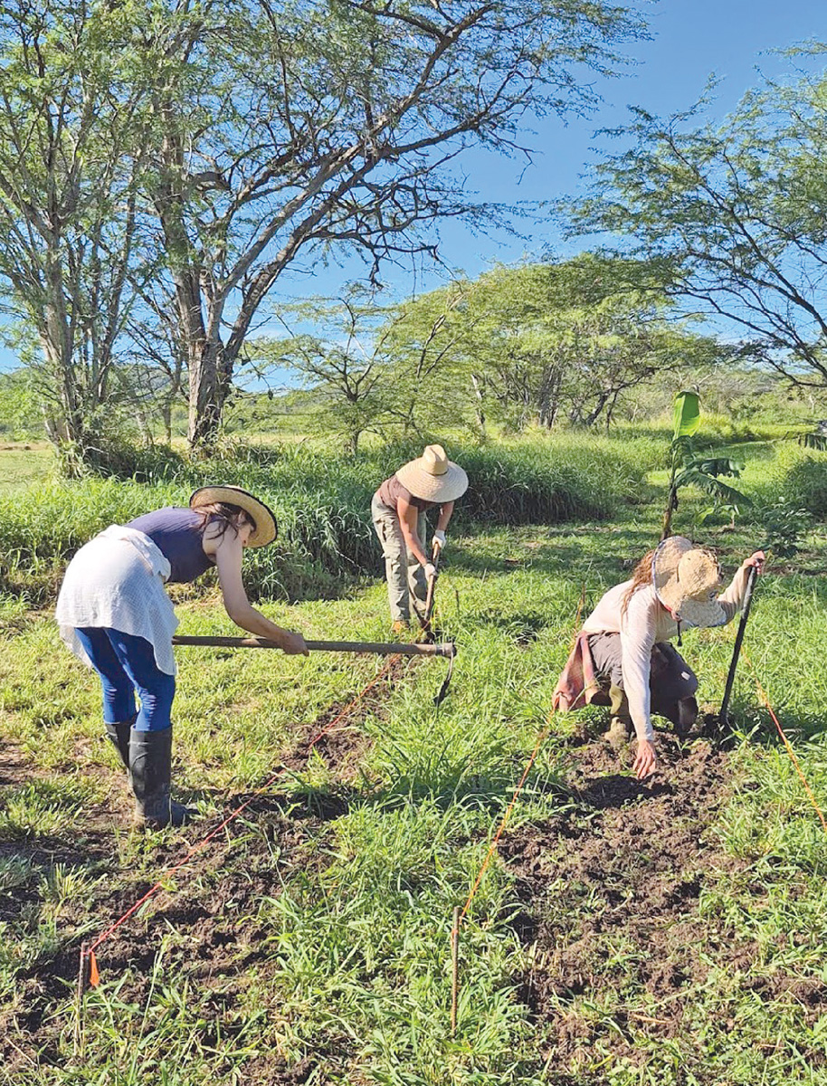 Brigada en Finca Villana.
Imagen suministrada.