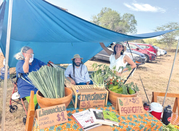 Crédito de imagen: Stephanie Avilés Vendedores en el Mercado Agroecológico del Valle de Lajas.