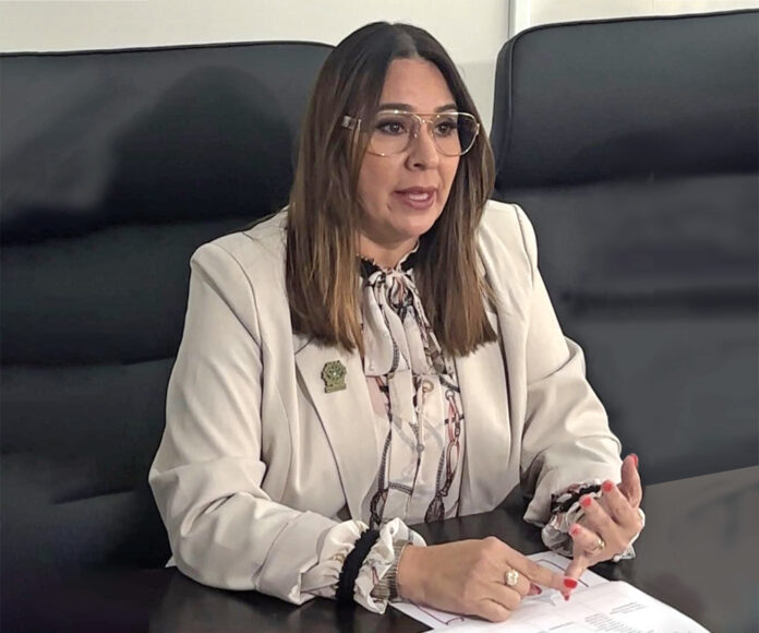 Representante del distrito 19, Lilibeth Lilly